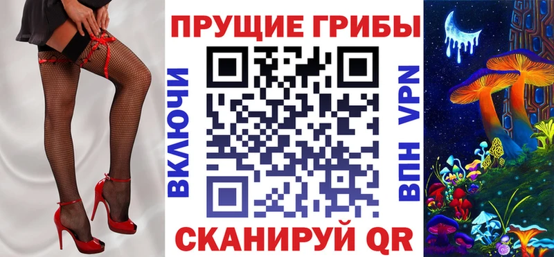 Галлюциногенные грибы MAGIC MUSHROOMS  как найти наркотики  Щёкино 